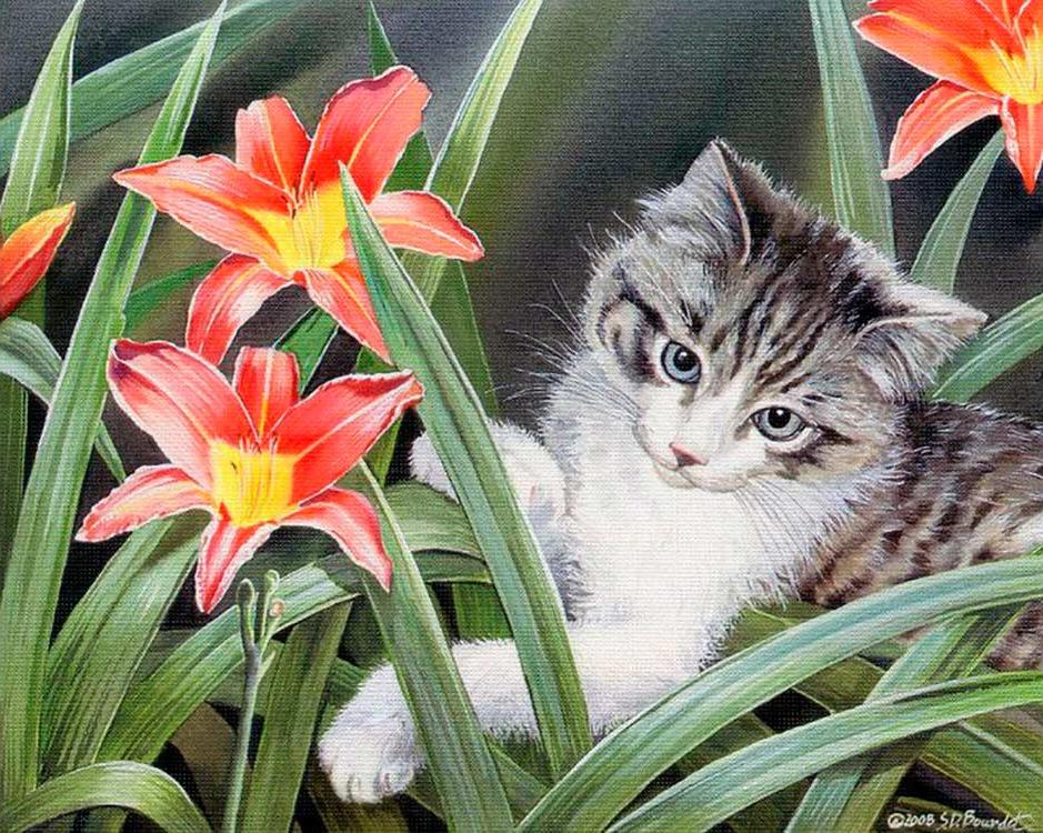

Картина по номерам «Котенок в цветах» Сьюзен Бордет, «Котенок в цветах»
