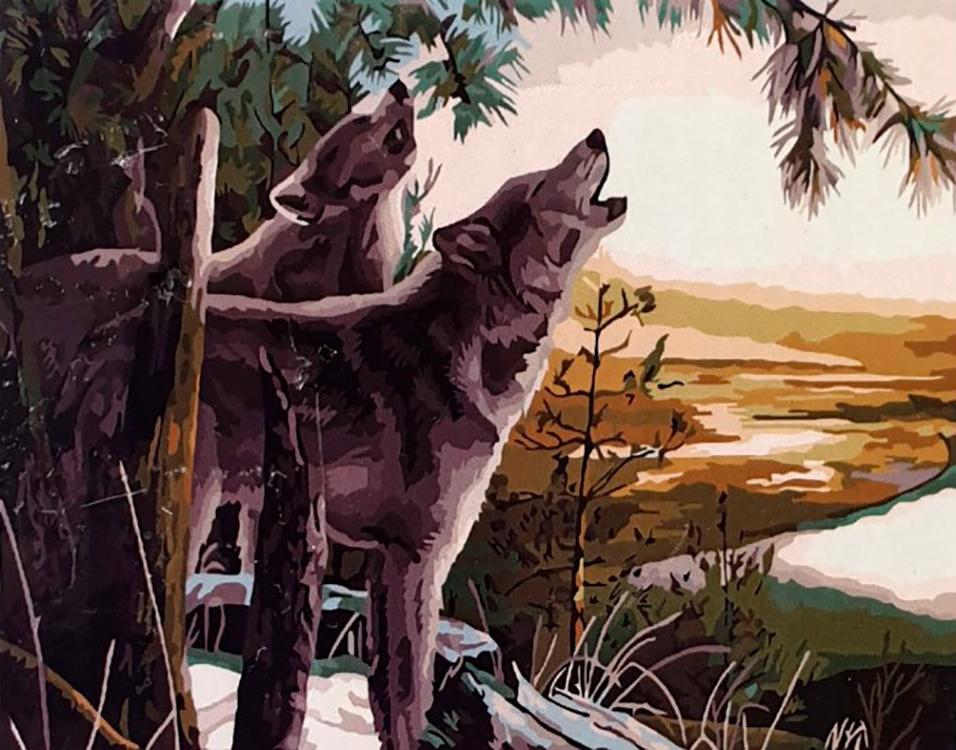 

Картина по номерам «Волки» Кевина Даниэля