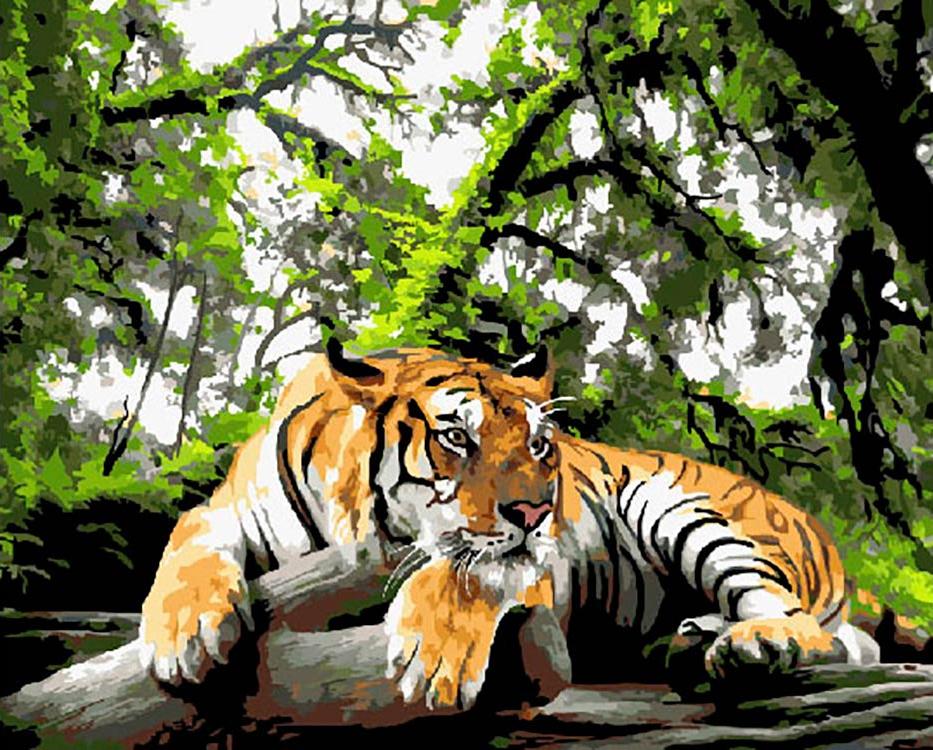 

Картина по номерам «Позирующий тигр», «Позирующий тигр»