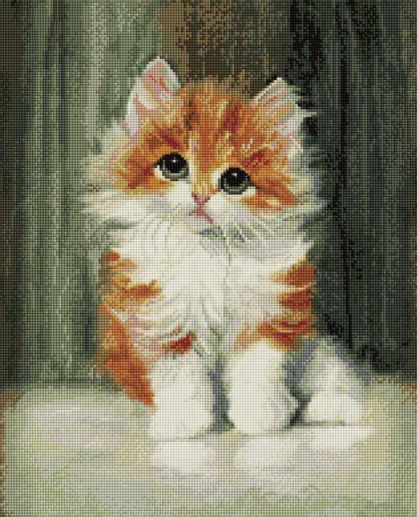 

Алмазная вышивка «Рыжий котенок» Меты Плюкебаум, «Рыжий котенок»