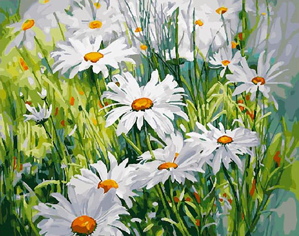 

Картина по номерам «Ромашковое лето» Марни Вард