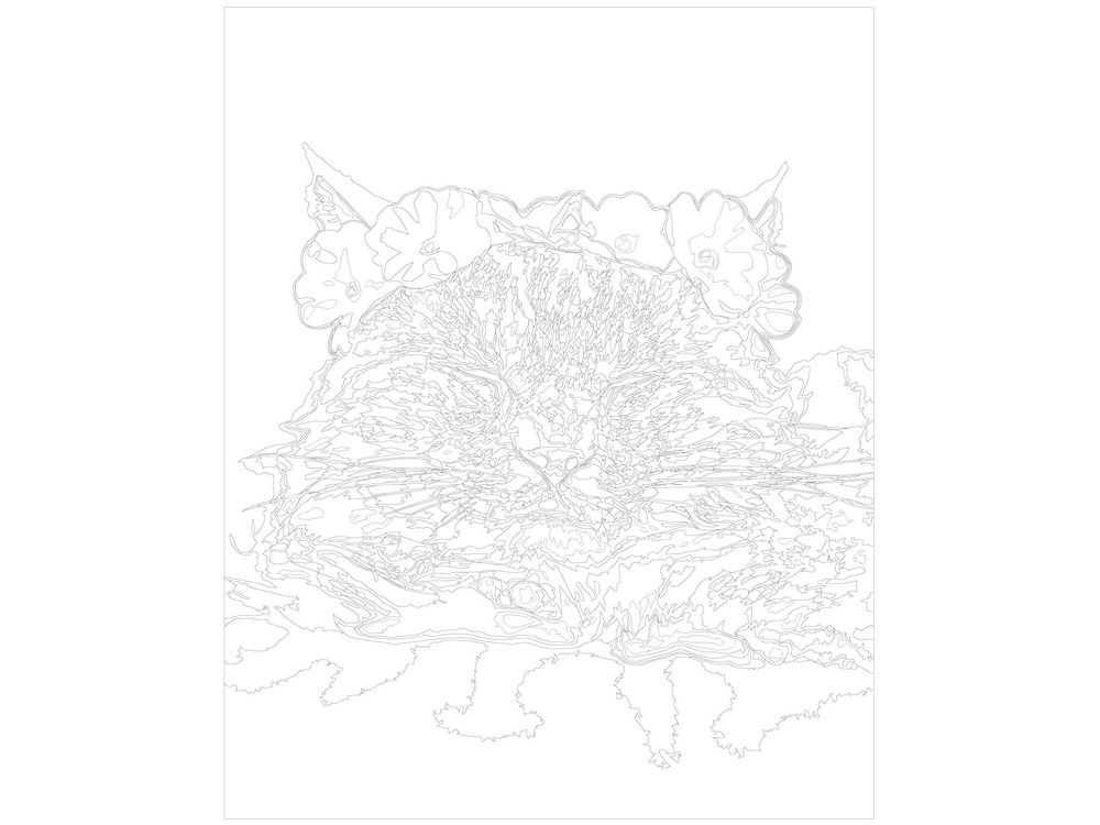 Кот в венке по номерам картина