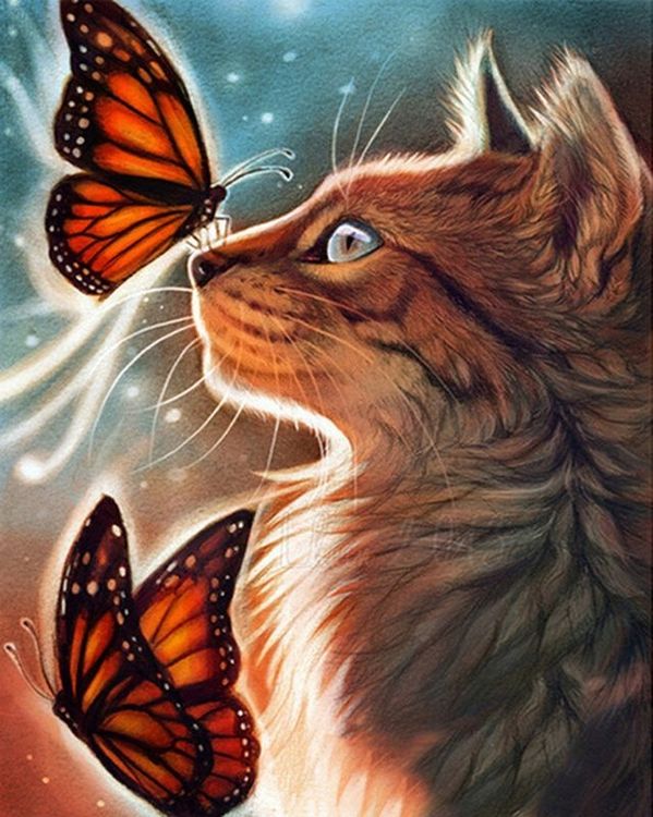Рыжий кот бабочка. Фэнтези кошки. Кот и бабочка. Котик с бабочкой. Красивая кошка арт.