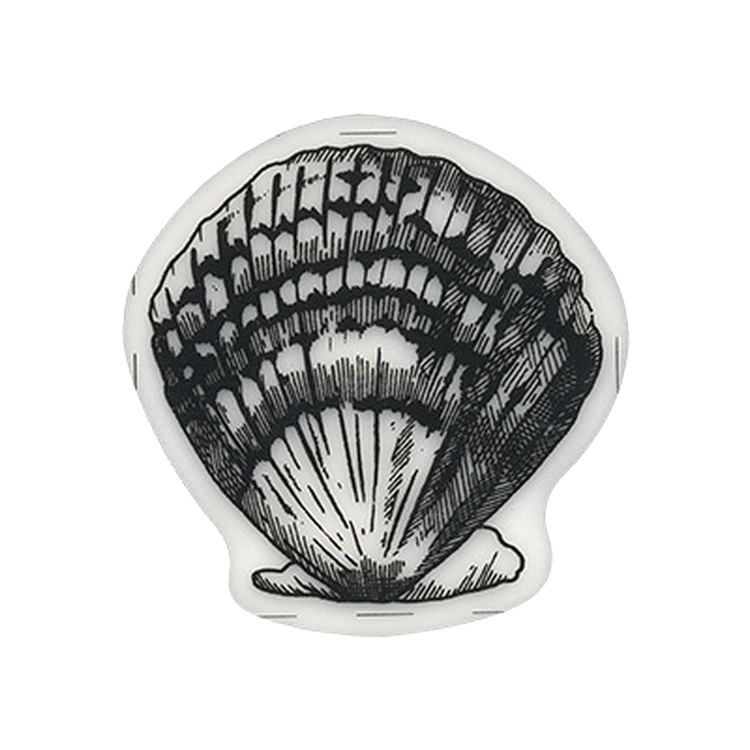 мидии в ракушках. комплект ракушка. ракушка на 06 модель. набор ракушек, 5 - 7 см, 100 г. Tonna pecten ракушка.