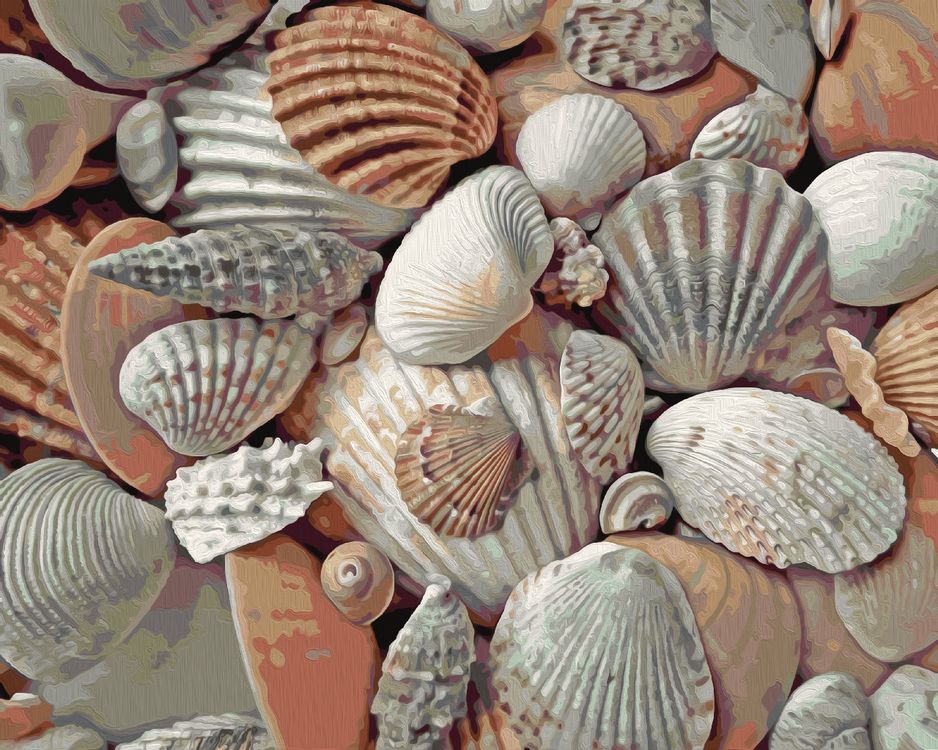 More shells