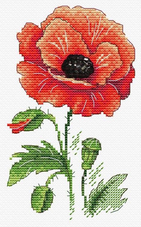 Набор для вышивания «Красный мак» В-541 Жар-птица (МП-студия) 11x17 - купить недорого в Москве по цене производителя, отзывы, фото в интернет магазине Цветное
