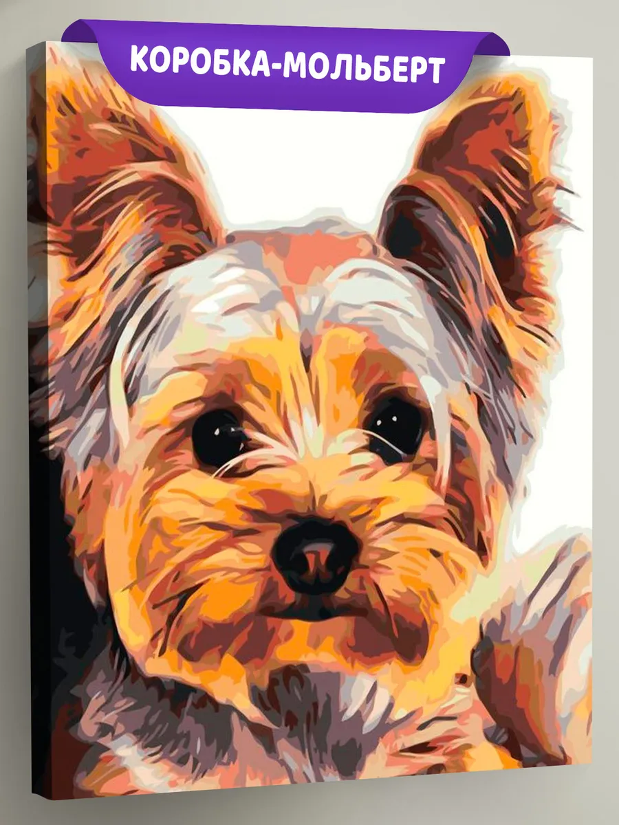 Картина по номерам «Маленький йорк» Картина по номерам «Маленький йорк»