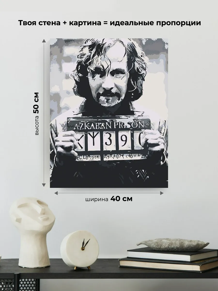 Картина по номерам «Гарри Поттер: Сириус Блэк» — картинка 3