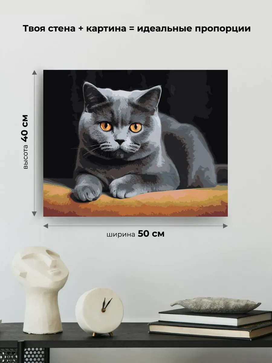 Картина по номерам «Серьезный британский кот» — картинка 3