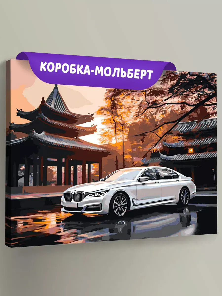 Картина по номерам «Машины: БМВ на фоне японской пагоды»