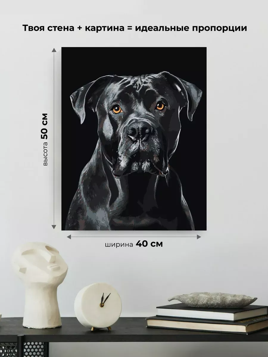 Картина по номерам «Собака Кане корсо на черном фоне» — картинка 3