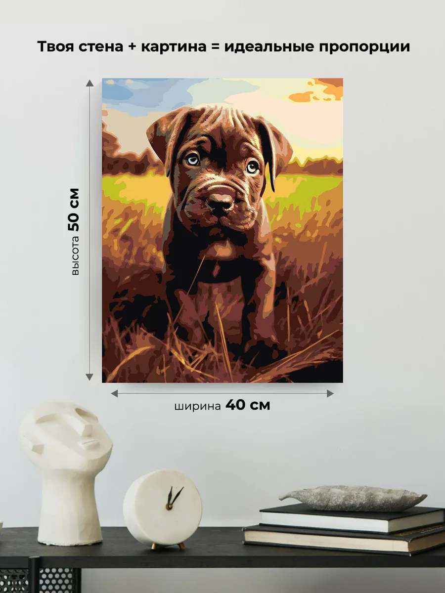 Картина по номерам «Собака Кане корсо щенок на лугу» — картинка 3