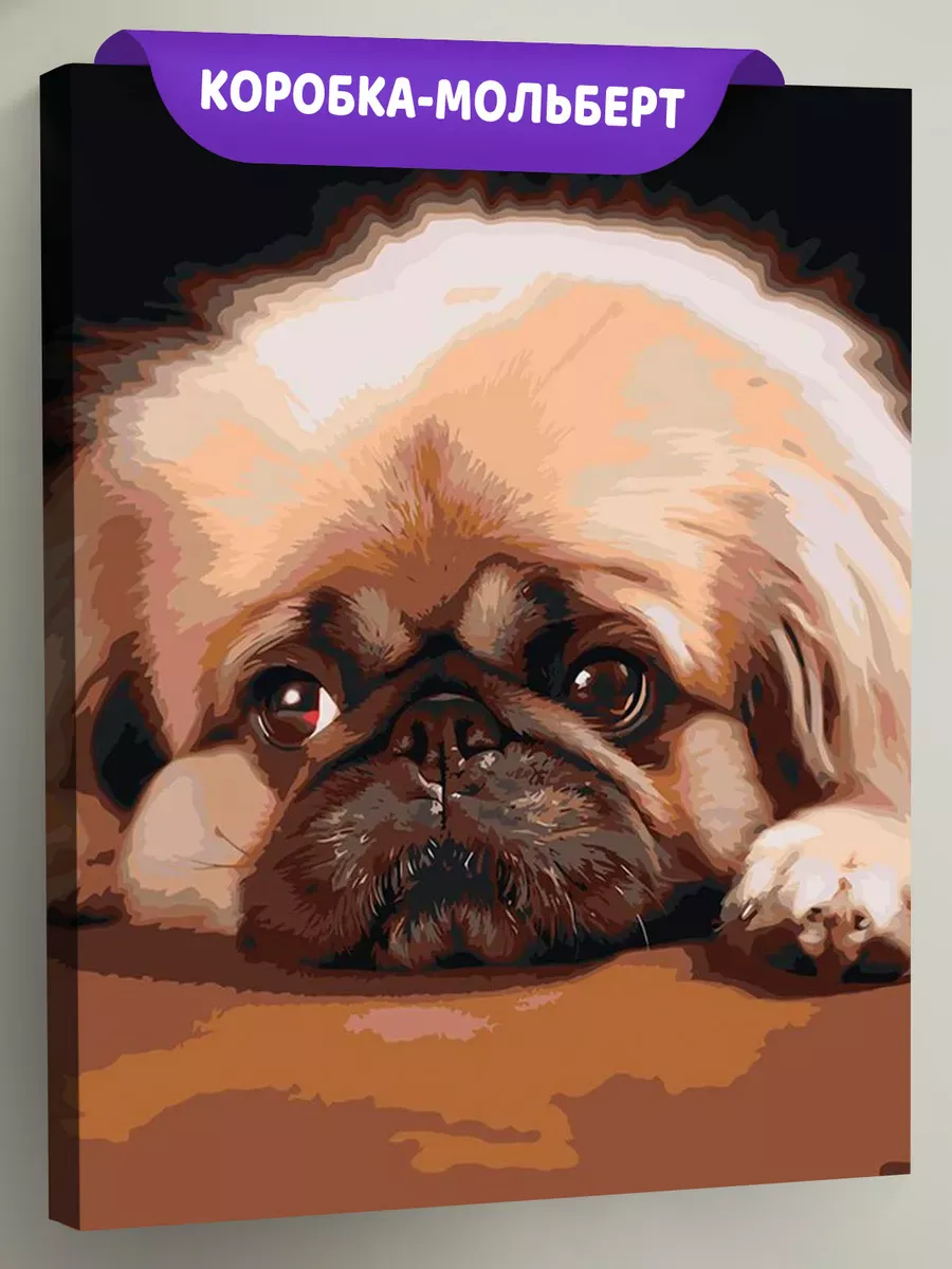 Картина по номерам «Грустная собака Пекинес» Картина по номерам «Грустная собака Пекинес»