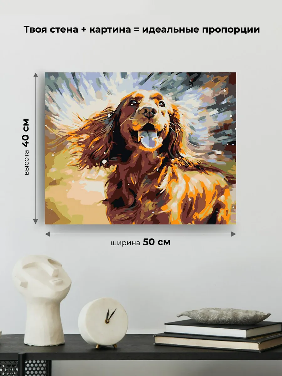 Картина по номерам «Собака Спаниель и брызги воды» — картинка 3