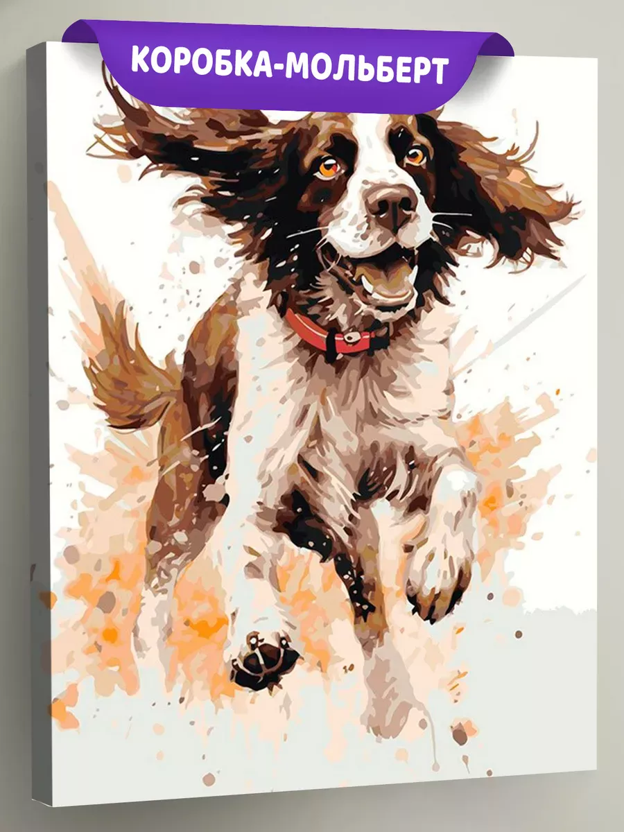 Картина по номерам «Собака Спаниель в прыжке» Картина по номерам «Собака Спаниель в прыжке»