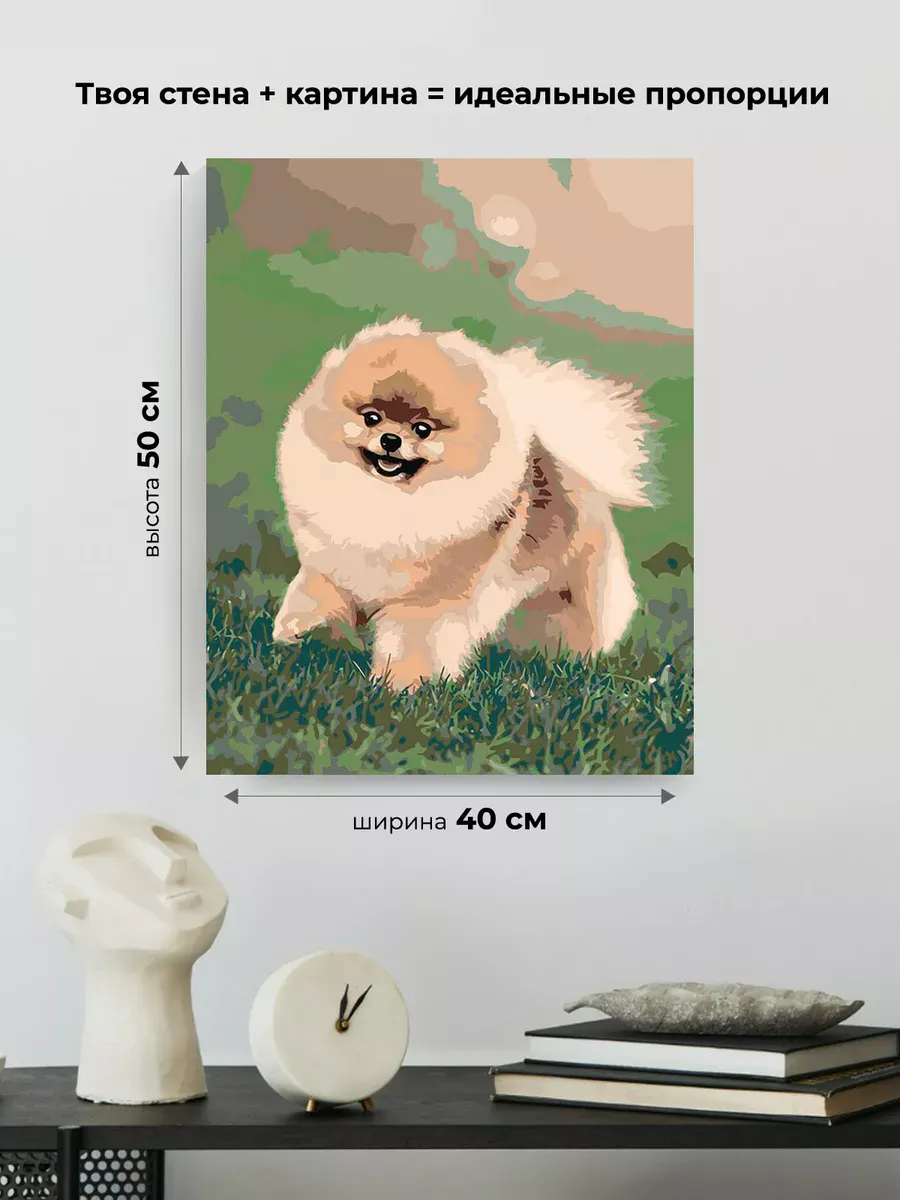 Картина по номерам «Собаки: Шпиц милый щенок 40х50» — картинка 3