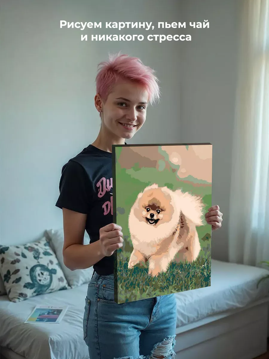 Картина по номерам «Собаки: Шпиц милый щенок 40х50» — картинка 6