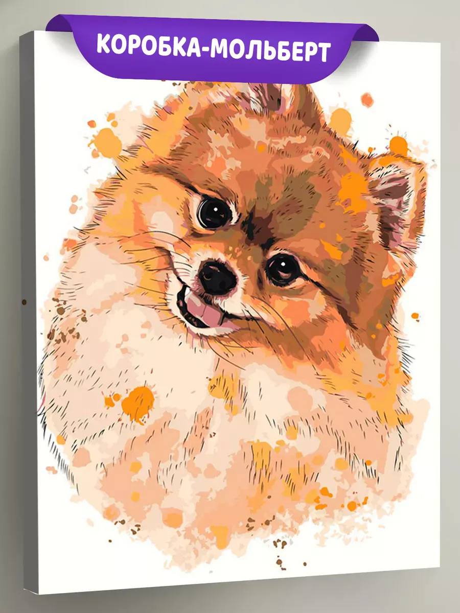 Картина по номерам «Собаки: Шпиц акварель арт 40х50» Картина по номерам «Собаки: Шпиц акварель арт 40х50»