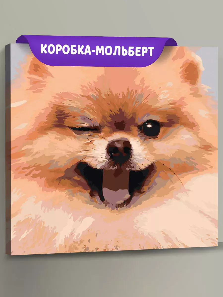 Картина по номерам «Собаки: Шпиц милый щенок 40х40» Картина по номерам «Собаки: Шпиц милый щенок 40х40»