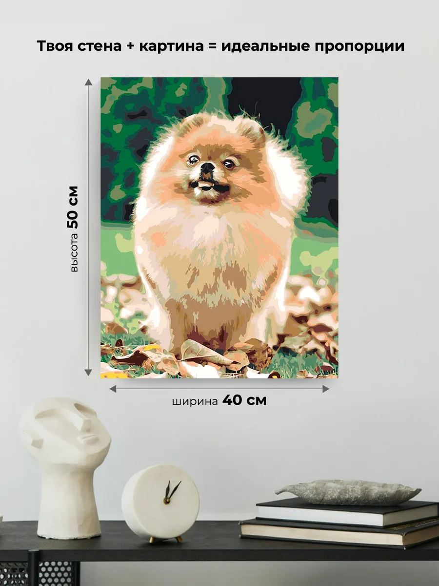 Картина по номерам «Собаки: Шпиц на дорожке в лесу 40х50» — картинка 3