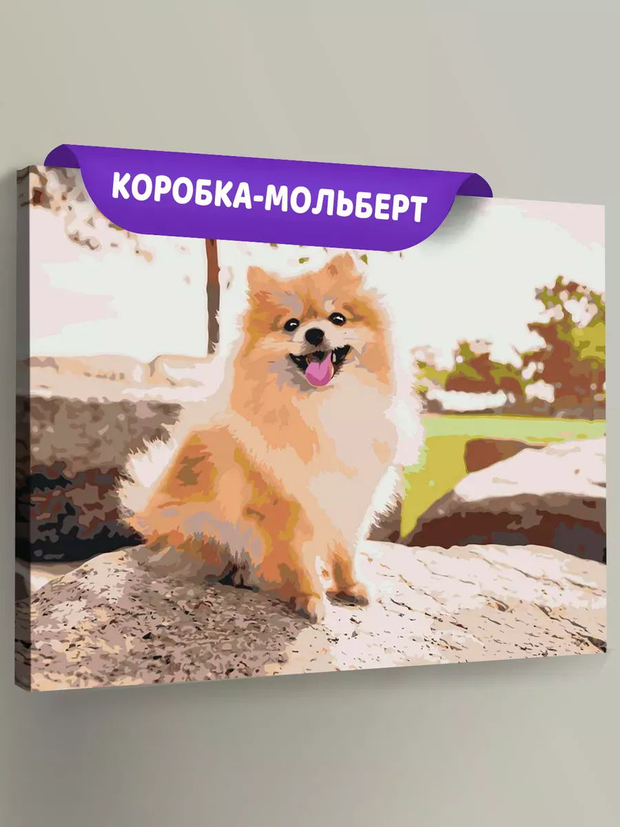 Картина по номерам «Собаки: Шпиц позирует на камне 40х50» Картина по номерам «Собаки: Шпиц позирует на камне 40х50»