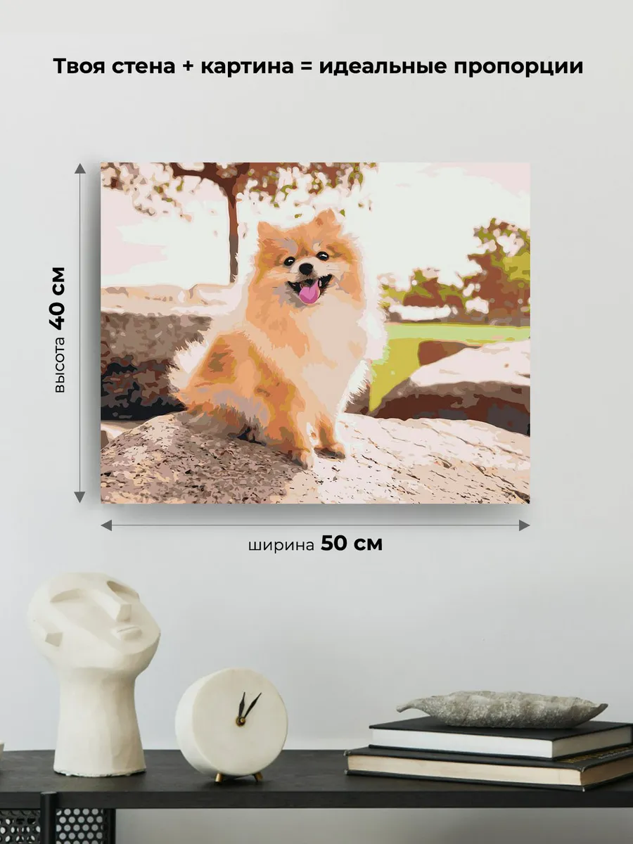 Картина по номерам «Собаки: Шпиц позирует на камне 40х50» — картинка 3