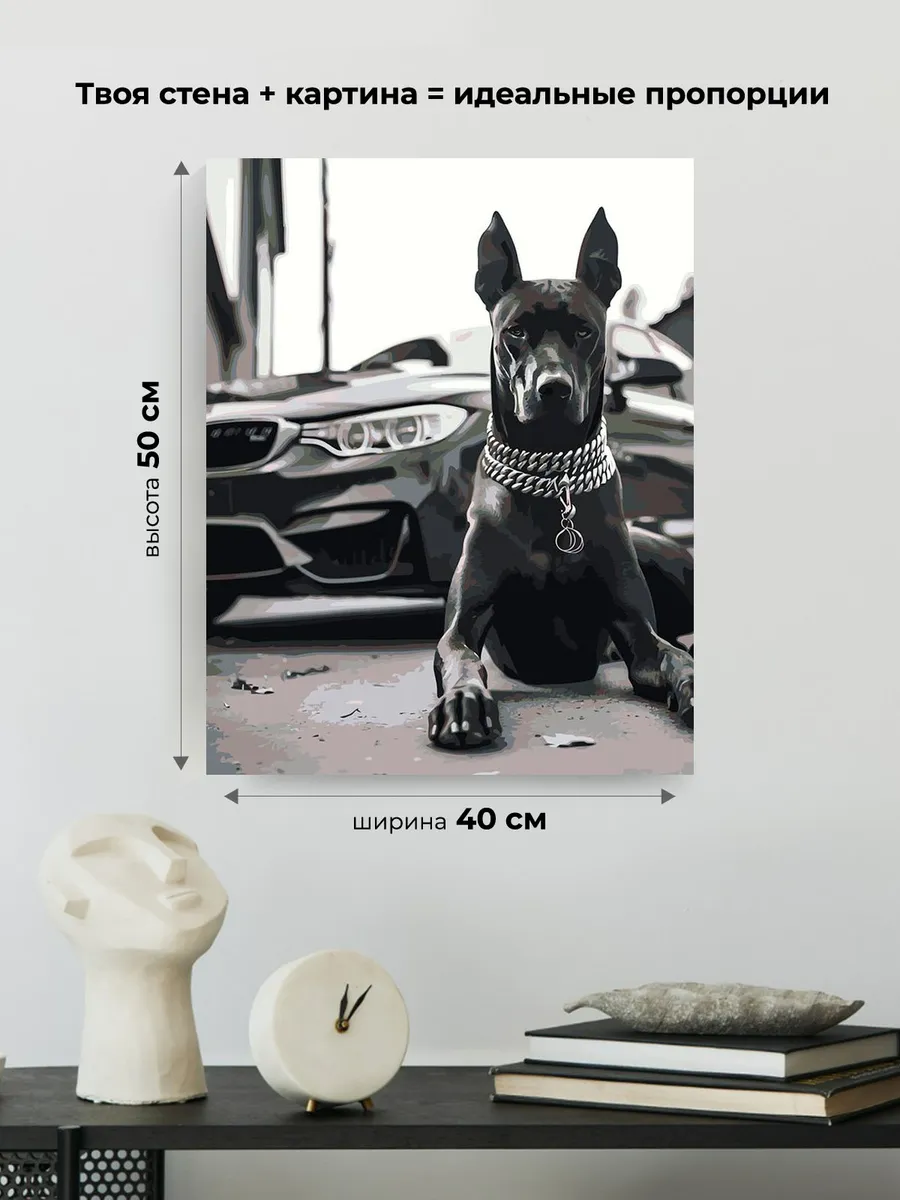 Картина по номерам «Машина BMW и собака доберман чернобелая» — картинка 3