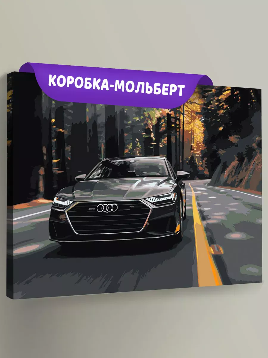 Картина по номерам «Машина Ауди на дороге в лесу 40х50»