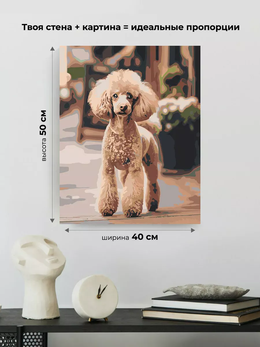 Картина по номерам «Собака пудель на улице 40х50» — картинка 3