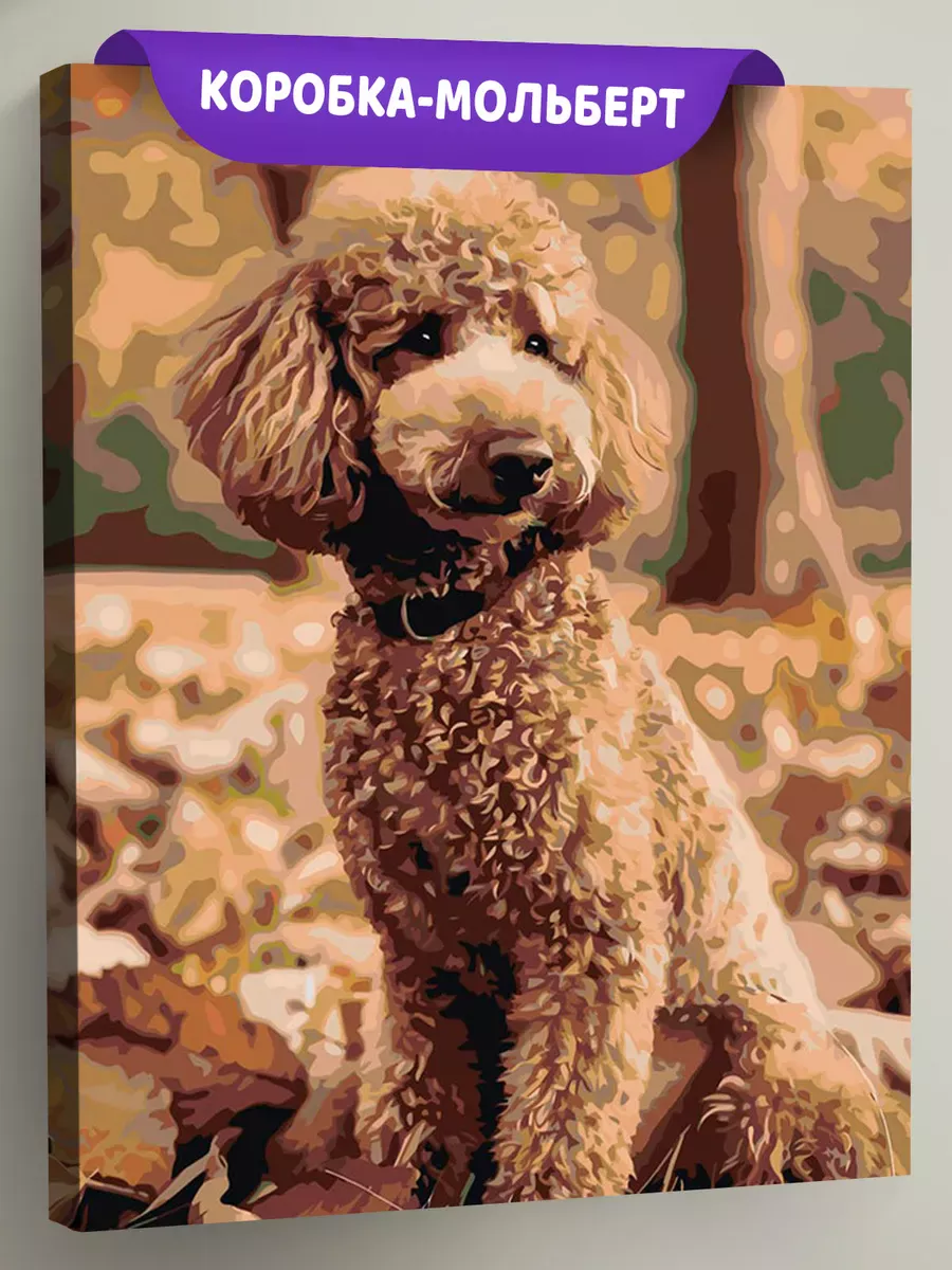 Картина по номерам «Собака пудель в лесу, осень 40х50»