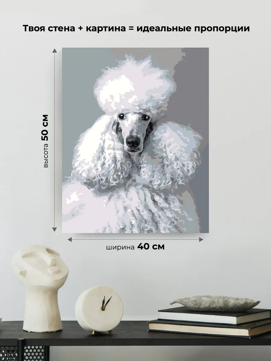 Картина по номерам «Собака пудель белая 40х50» — картинка 3