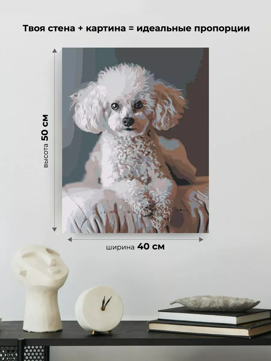 Картина по номерам «Собака пудель белая 40х50» — картинка 3