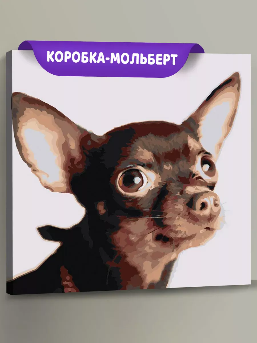 Картина по номерам «Собаки: Той терьер 40x40»