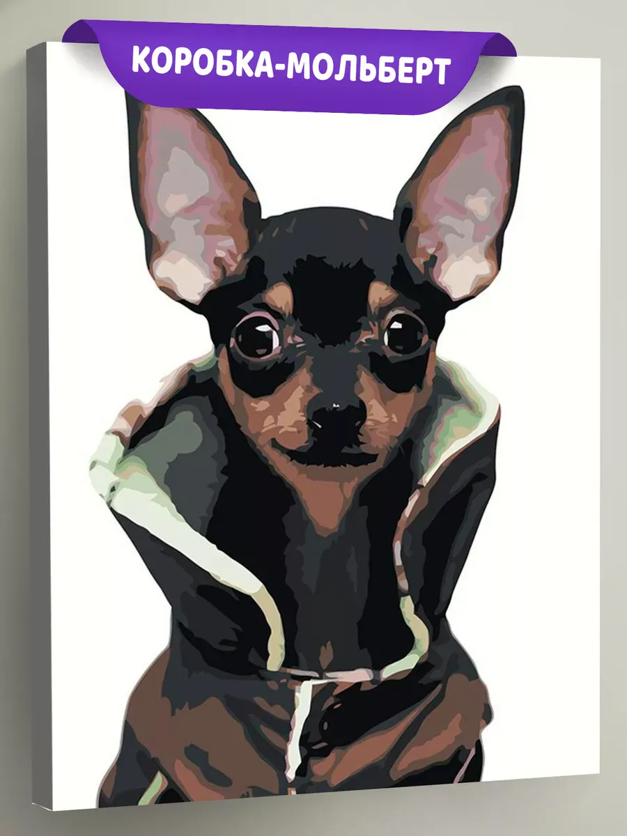 Картина по номерам «Собаки: Той терьер в куртке 40x50»