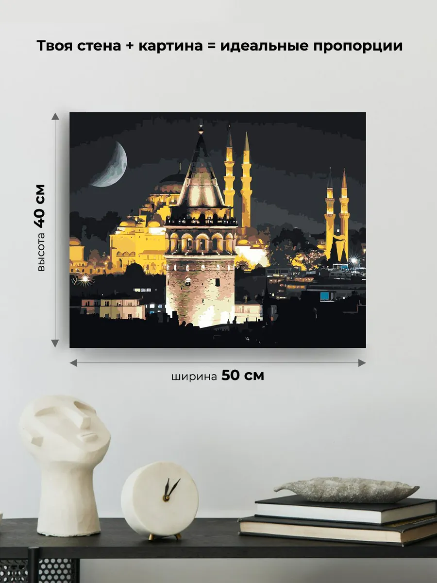 Картина по номерам «Стамбул, Турция: Галатская башня и мечеть» — картинка 3