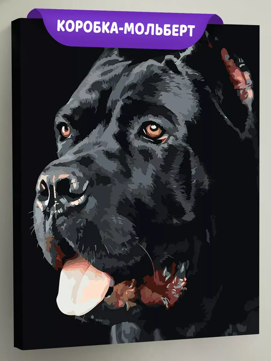 Картина по номерам «Собака Кане корсо черная портрет 40x50»