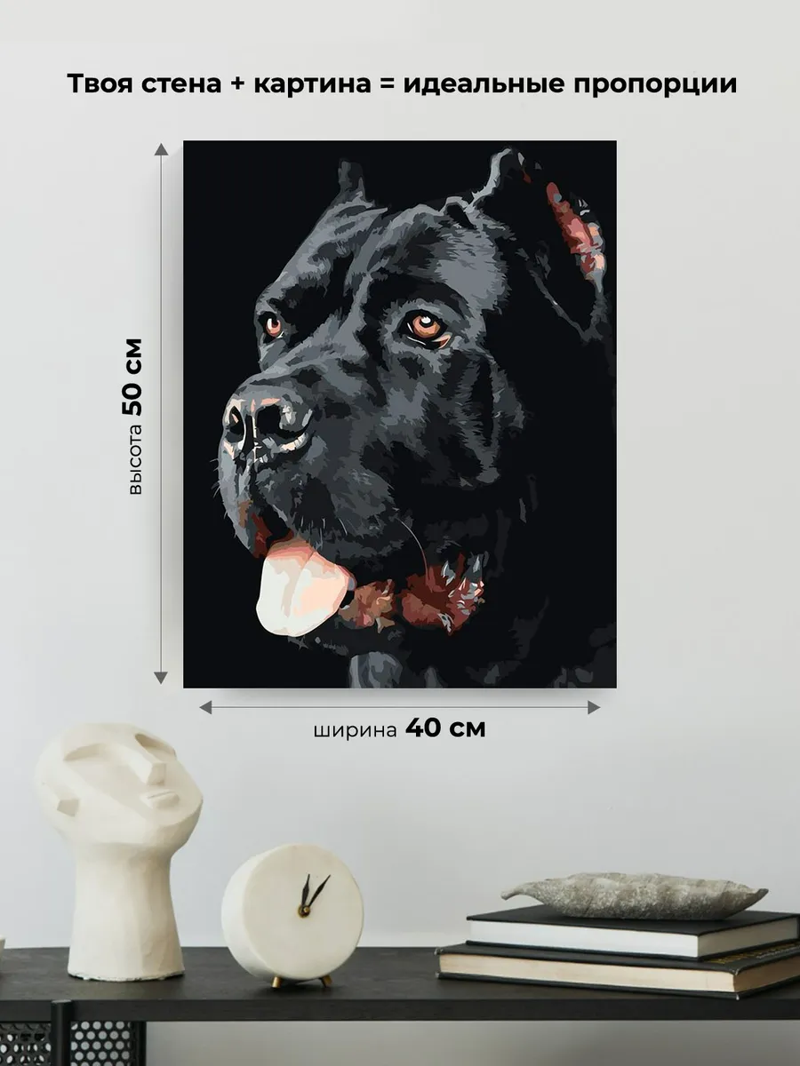 Картина по номерам «Собака Кане корсо черная портрет 40x50» — картинка 3