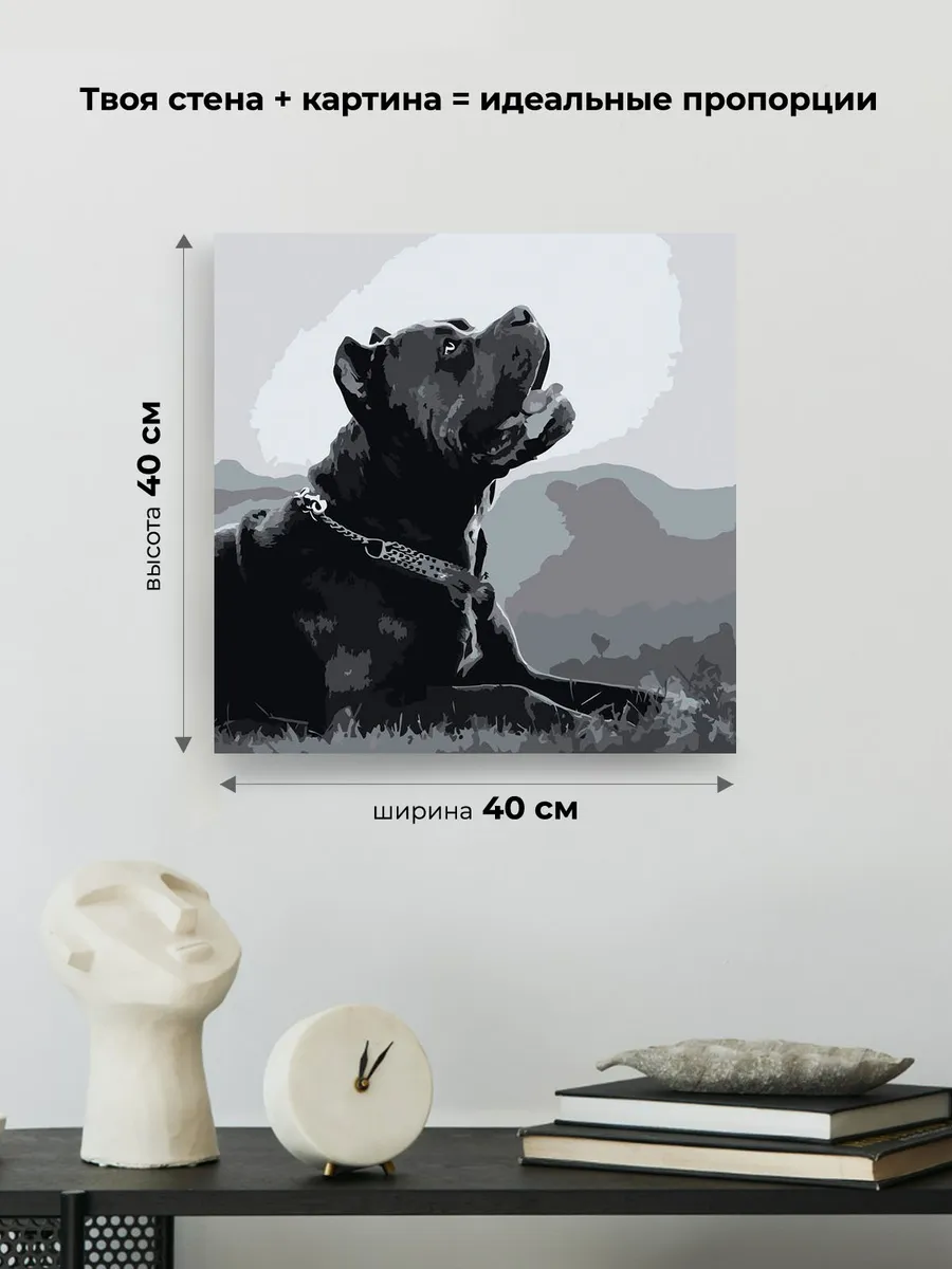 Картина по номерам «Собака Кане корсо чернобелая чб 40x40» — картинка 3