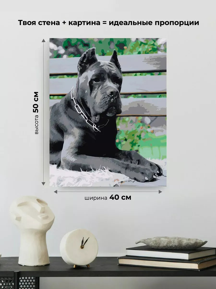 Картина по номерам «Собака Кане корсо черная 40x50» — картинка 3