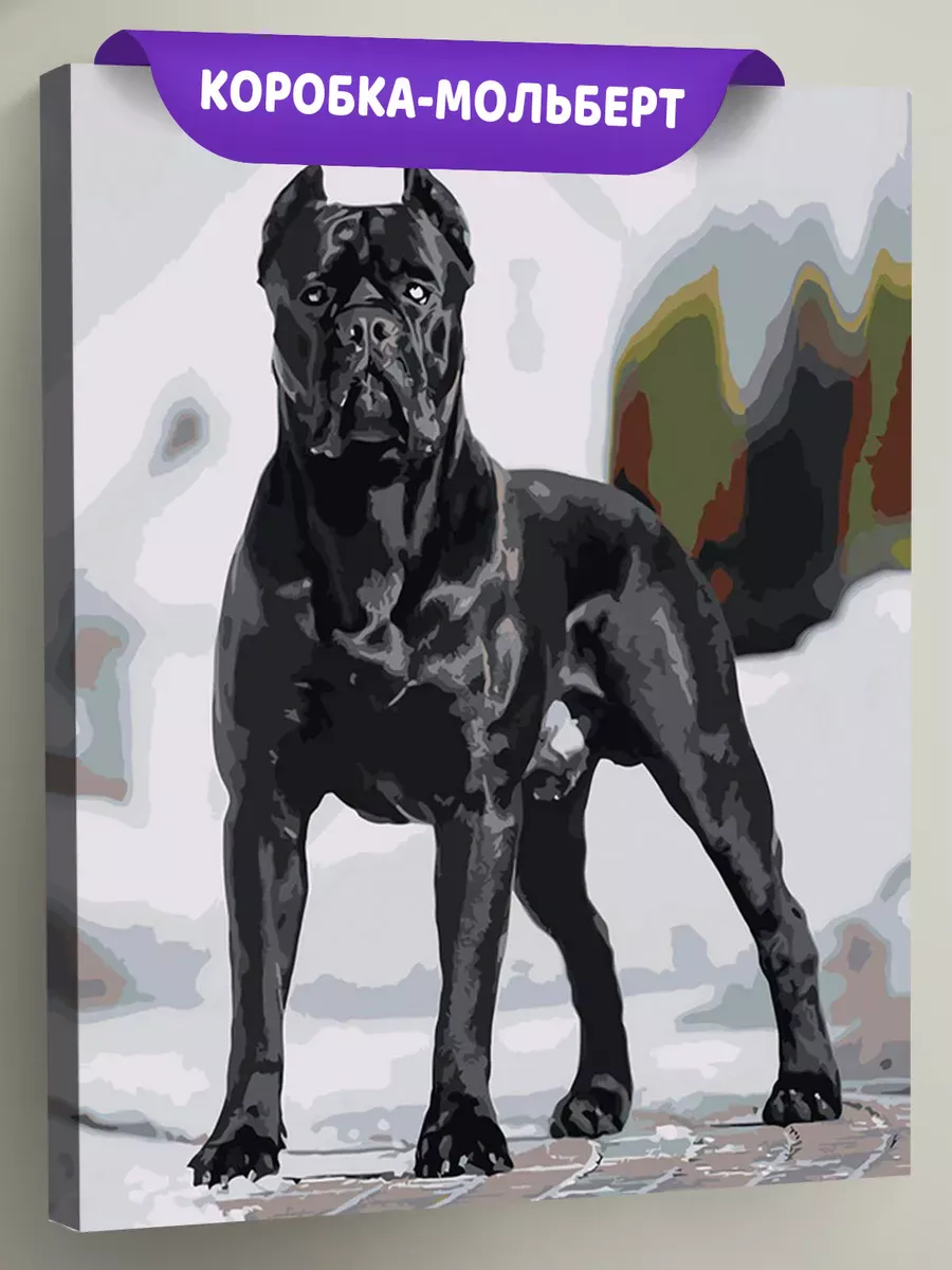 Картина по номерам «Собака Кане корсо черная, зима 40x50»