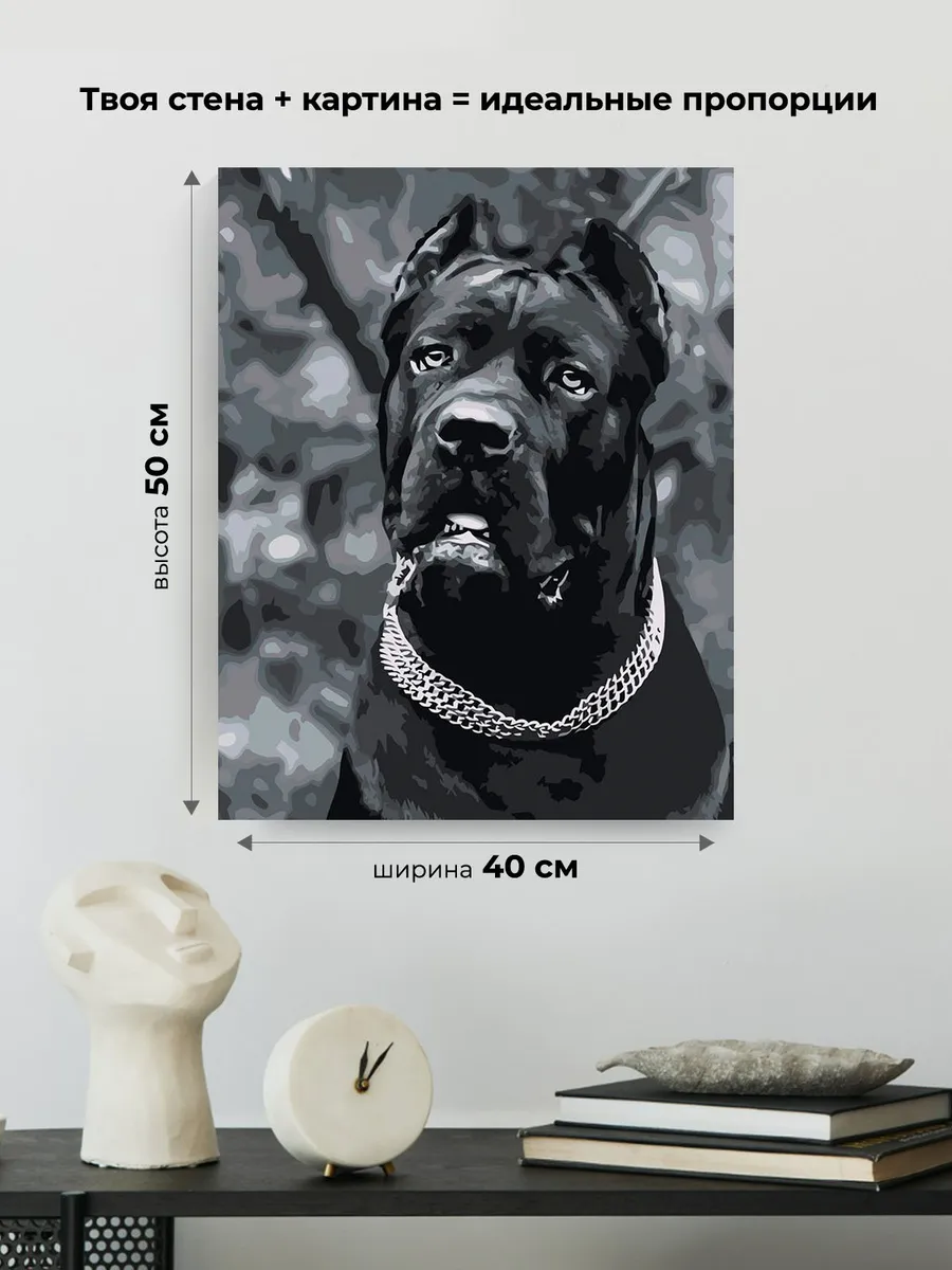 Картина по номерам «Собака Кане корсо чернобелая чб 40x50» — картинка 3