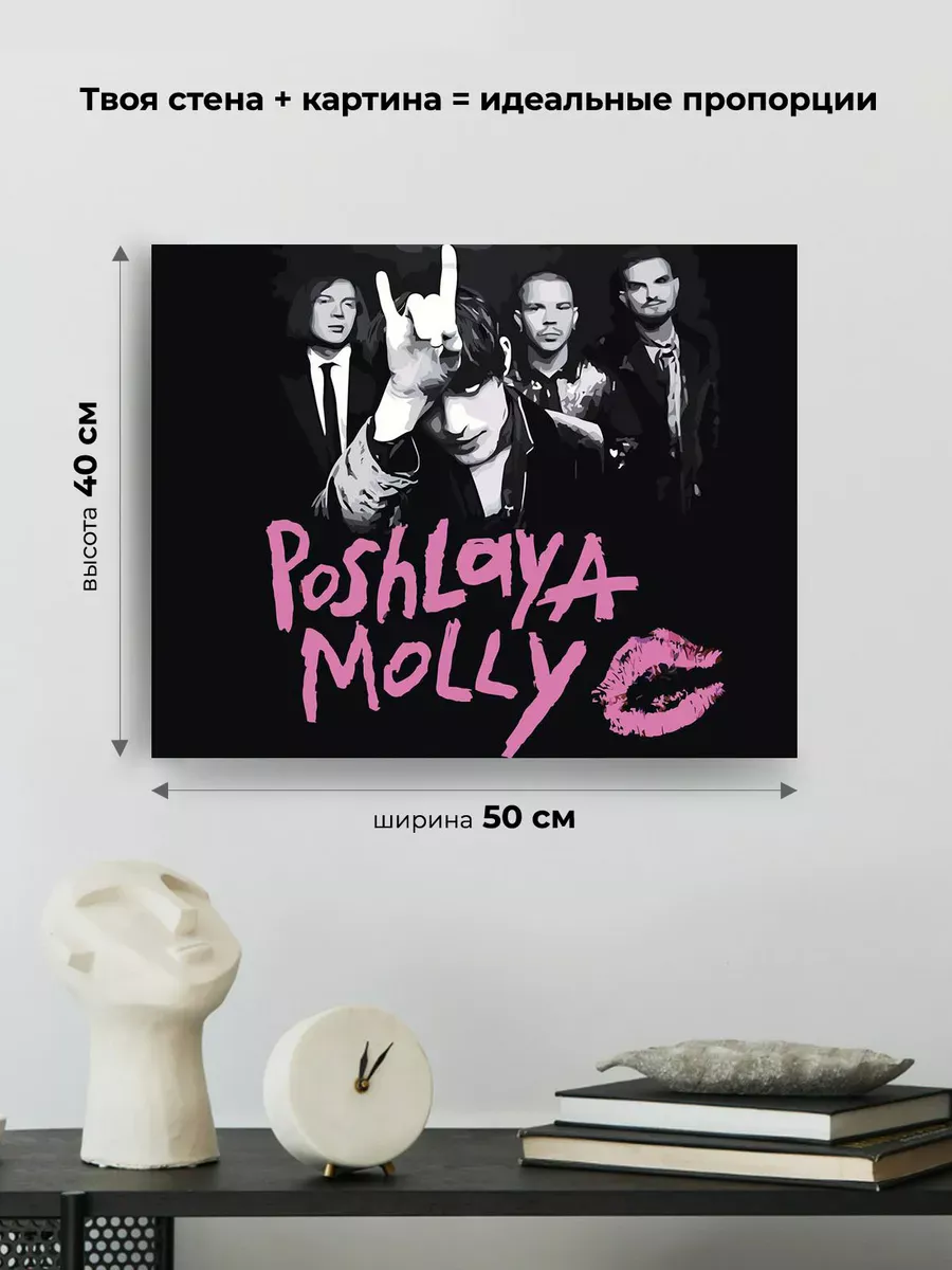 Картина по номерам «Группа Пошлая Молли: монохром арт 40x50» — картинка 3
