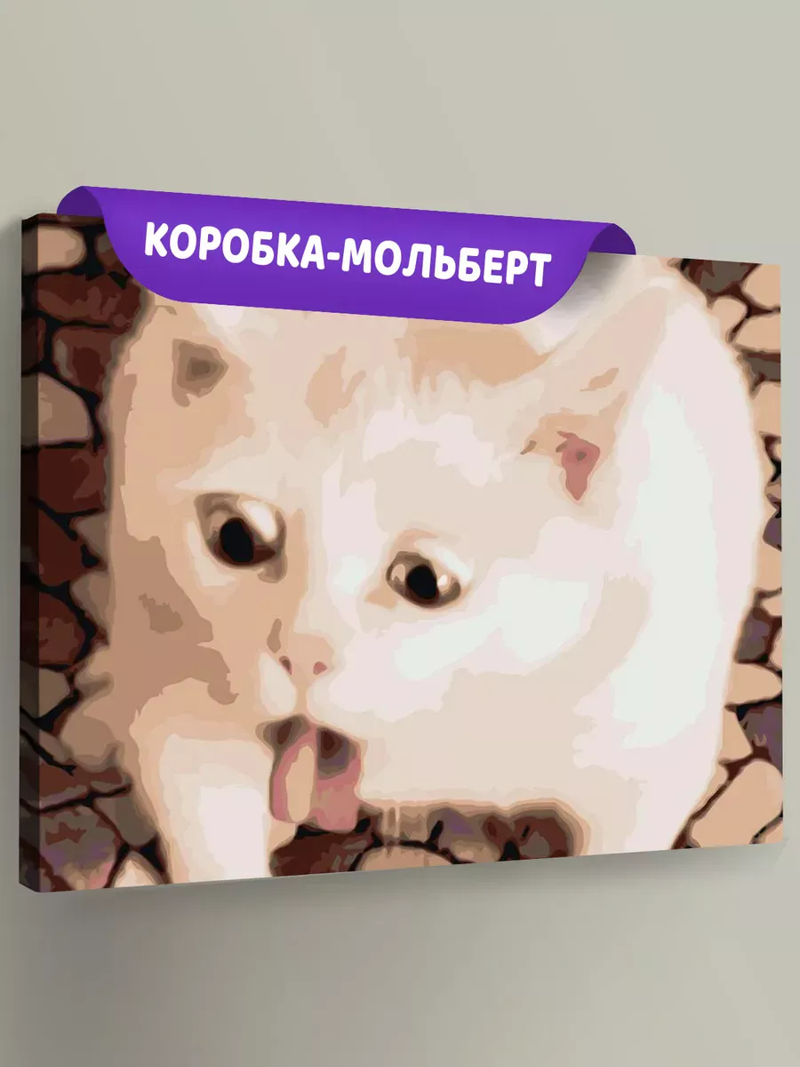 Картина по номерам «Мем, коты из мемов: Белый кот 40x50»