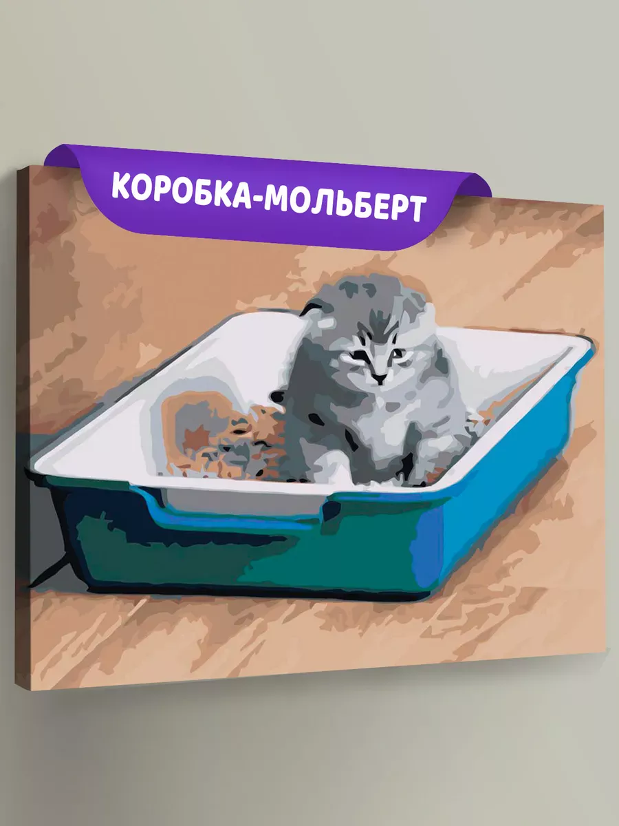 Картина по номерам «Мем, коты: Грустный котенок в лотке»