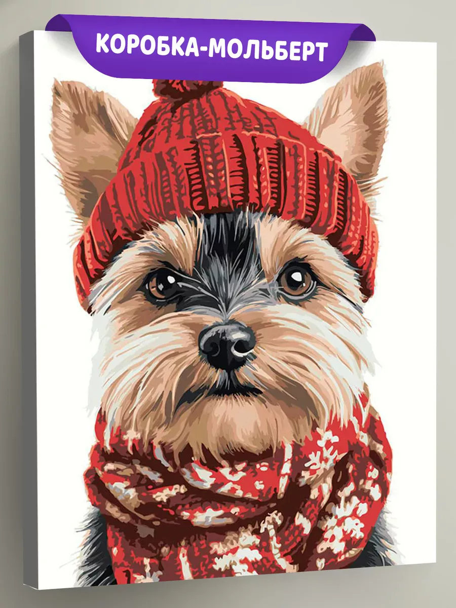Картина по номерам «Собаки: йоркширский терьер в шапке»