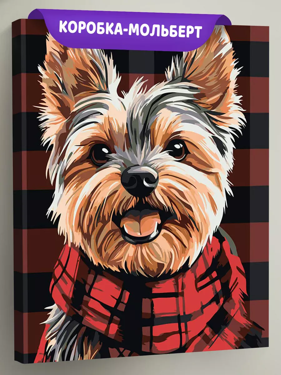 Картина по номерам «Собаки: йоркширский терьер, Англия»