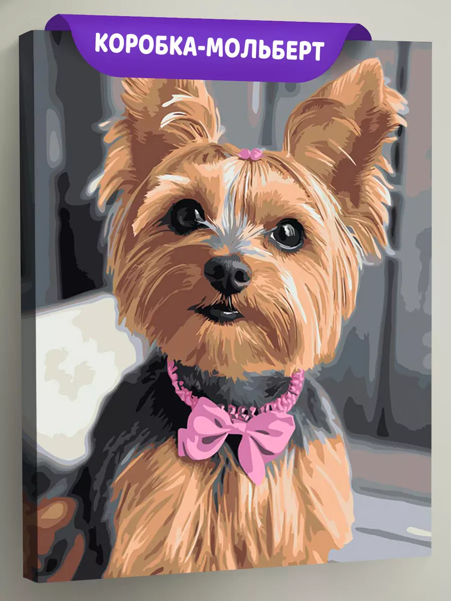 Картина по номерам «Собаки: йоркширский терьер с бантиком»