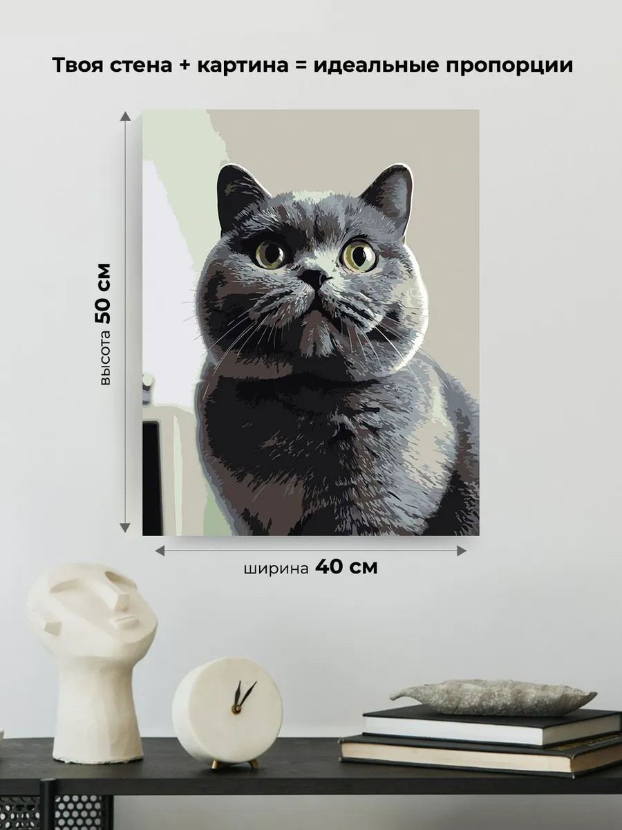 Картина по номерам «Кошки: серый британец, британский кот» — картинка 3