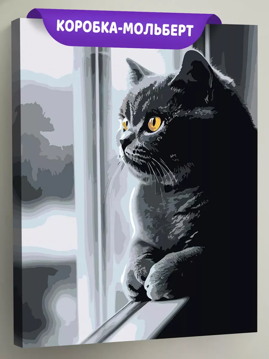 Картина по номерам «Кошки: серый британский кот и окно»