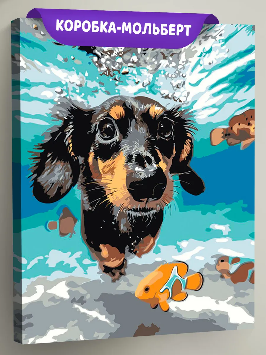 Картина по номерам «Собаки: такса плавает под водой 40х50»